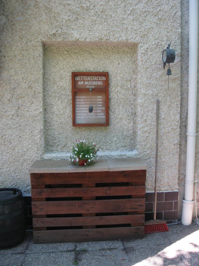 Danube View House With Garden Vienna Exterior photo