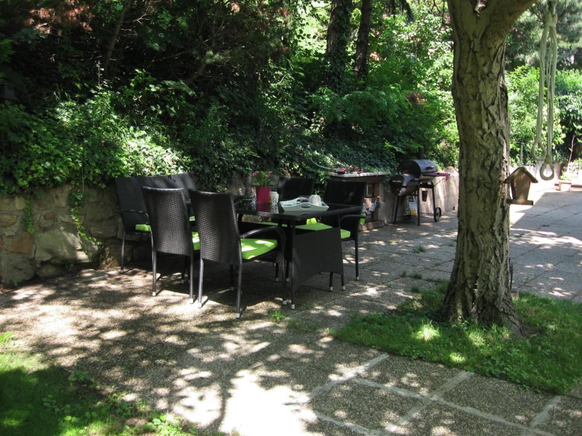 Danube View House With Garden Vienna Exterior photo