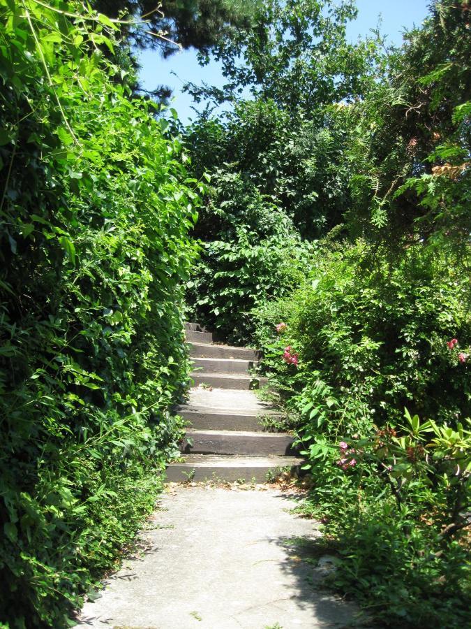 Danube View House With Garden Vienna Exterior photo