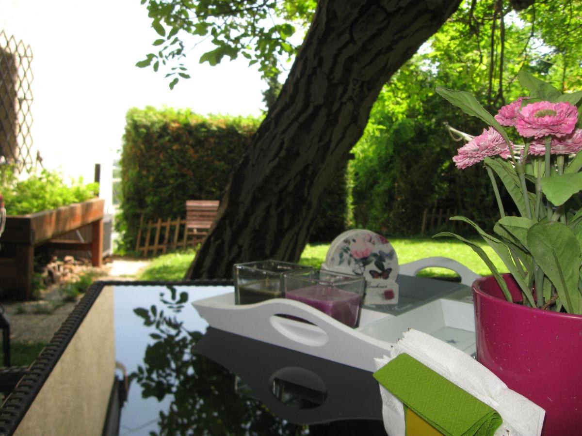 Danube View House With Garden Vienna Exterior photo